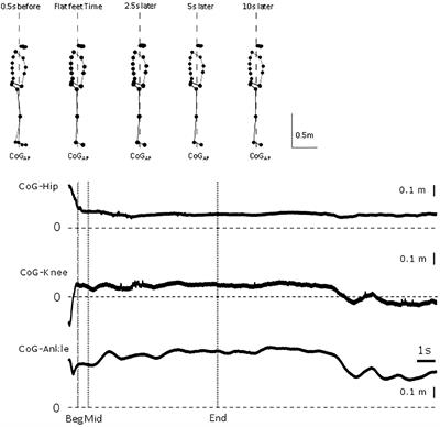 Attainment of Quiet Standing in Humans: Are the Lower Limb Joints Controlled Relative to a Misaligned Postural Reference?